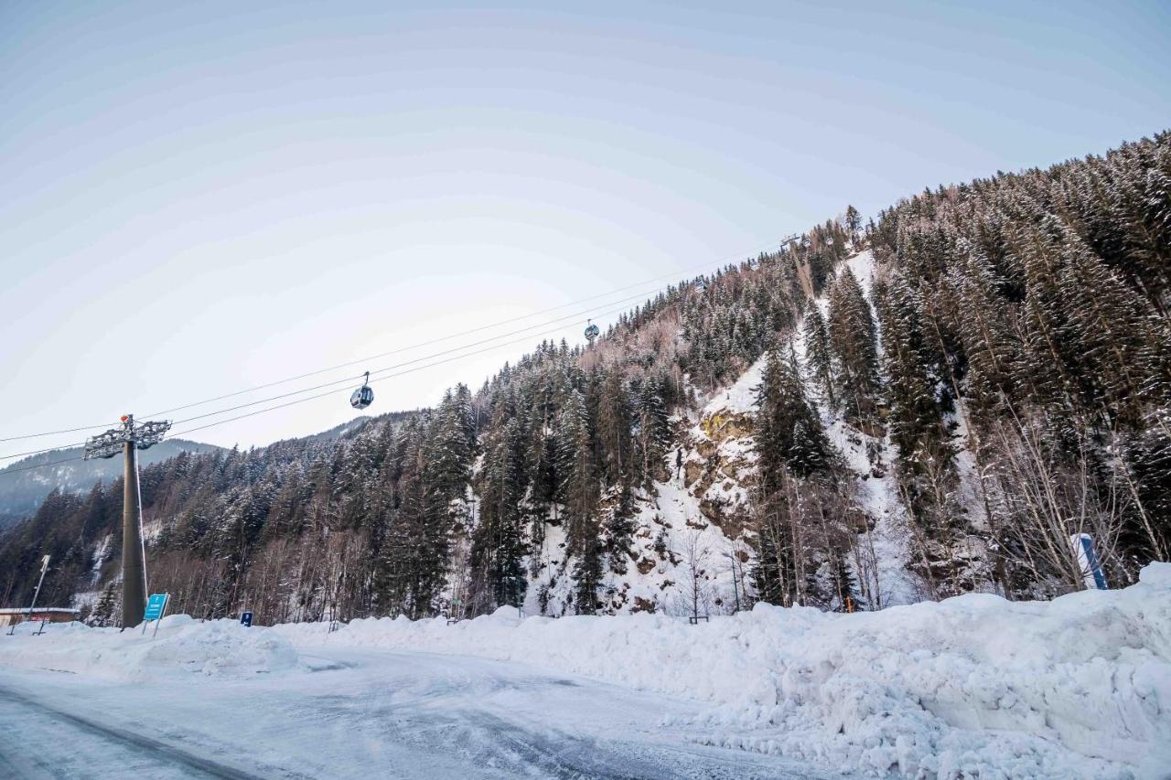 Chalet 3 Musketiers Viehhofen Dış mekan fotoğraf